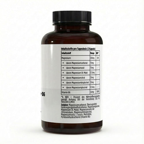 Magnesium 6x Komplex + B6 - 120 vegane Kapseln